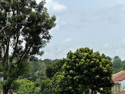 Hillview Villas (D23), Terrace #535106521